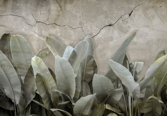 Fototapeta liście bananowca beton 3d 13945VE