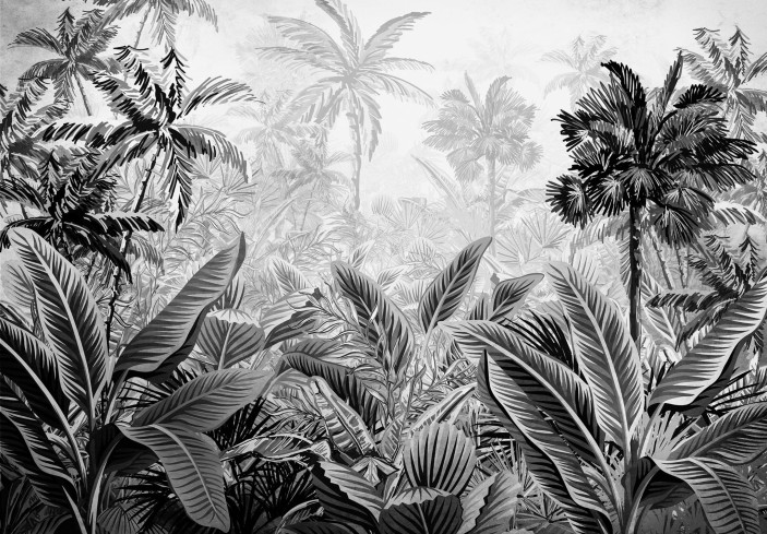 Fototapeta las tropikalny słoneczna dżungla amazonia czarno biała 14166VE