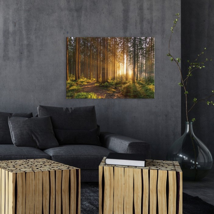 Obraz do salonu słoneczny las natura PP14185
