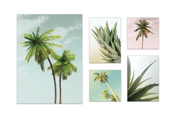 Obraz 5 części na płótnie palmy nowoczesny 66x48 / 2 x 20x20 / 2 x 32x22