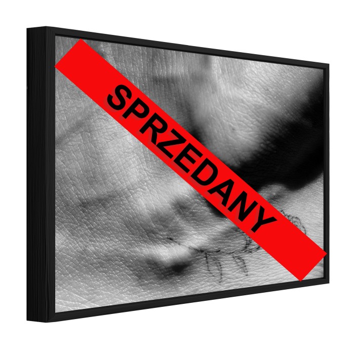 [ATKINS x MOTYCZYNSKI] Obraz metalowy w ramie - Agnieszka Radwańska - Praca Nr12 - Egzemplarz Unikatowy - Jedna Sztuka - Wysyłka po 31.10.2025