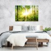 Obraz na płótnie las drzewa zielony 70x50