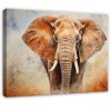 Obraz na płótnie słoń natura zwierzęta 70x50