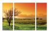 Obraz 3 części na płótnie natura krajobraz 80x60 / 2 x 80x30