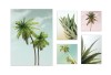 Obraz 5 części na płótnie palmy nowoczesny 66x48 / 2 x 20x20 / 2 x 32x22