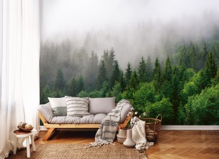 Fototapeta deszczowy las we mgle drzewa natura 13907VE