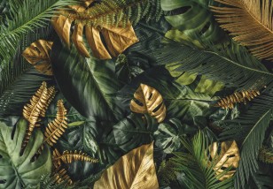 Fototapeta liście monstera zieleń złoto 13803VE