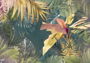 Fototapeta liście monstera natura na wymiar 13790VE