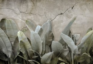 Fototapeta liście bananowca beton 3d 13945VE