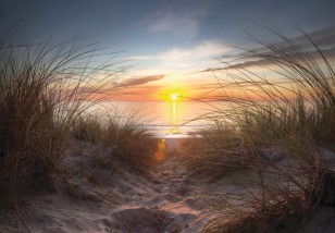 Fototapeta 3d plaża morze krajobraz wydmy słońce natura 14022VE