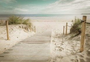 Fototapeta 3d plaża wydmy morze natura krajobraz 11597VE