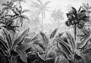 Fototapeta las tropikalny słoneczna dżungla amazonia czarno biała 14166VE