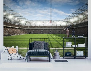 Fototapeta boisko bramka stadion sport piłka nożna 11798VE