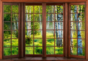 Fototapeta widok z okna las brzozowy brzozy natura krajobraz 14207VE