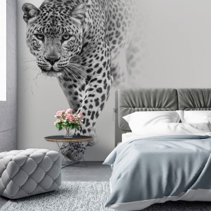 Fototapeta tygrys jaguar gepard zwierzęta natura 13997VE