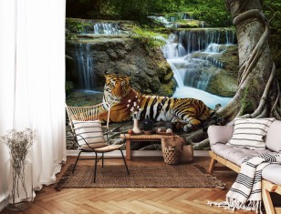 Fototapeta tygrys wodospad natura krajobraz zwierzęta las 14407VE