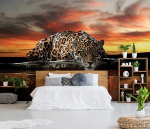 Fototapeta tygrys jaguar afryka safari zwierzęta natura 126VE