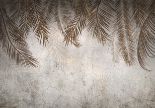 Fototapeta wiszące liście palmy beton bezowe pióra boho 14496VE