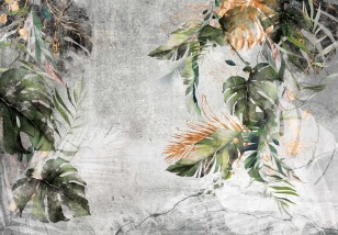 Fototapeta liście monstera na betonie 14510VE