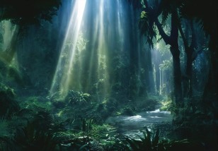 Fototapeta tropikalny las dżungla rośliny natura 14556VE