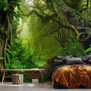 Fototapeta dżungla liście natura rośliny alejka 14565VE