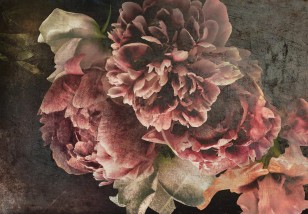 Fototapeta kwiaty vintage piwonie 14568VE