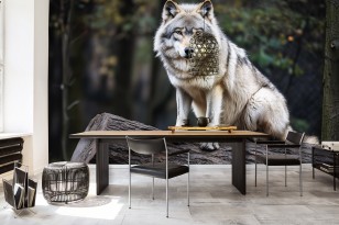Fototapeta wilk w lesie zwierzęta natura na wymiar