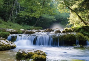 Fototapeta wodospad 3d las natura do sypialni na wymiar 15631VE