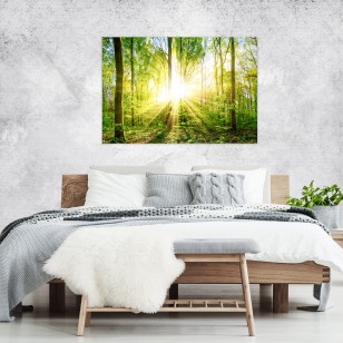 Obraz na płótnie las drzewa zielony 70x50