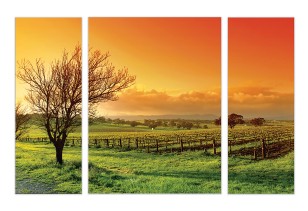 Obraz 3 części na płótnie natura krajobraz 80x60 / 2 x 80x30