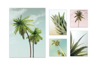 Obraz 5 części na płótnie palmy nowoczesny 66x48 / 2 x 20x20 / 2 x 32x22